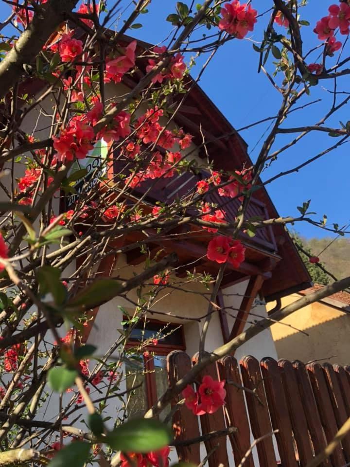 Chill House Apartment Miskolc Ngoại thất bức ảnh